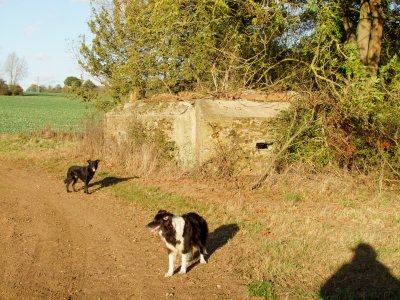 Another  WW2  pillbox ,beside  Cobbins  Brook.