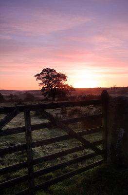 The  rising  sun  coming  over  the  hill.