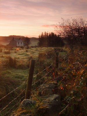 A  rural  dawn.