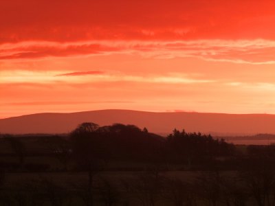 A  blood  red  dawn  over  Sandhills.