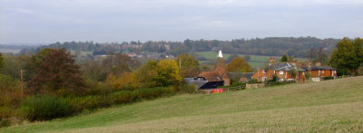Hamsell  Farm