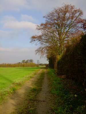 Blue  skies  over  north  Kent.