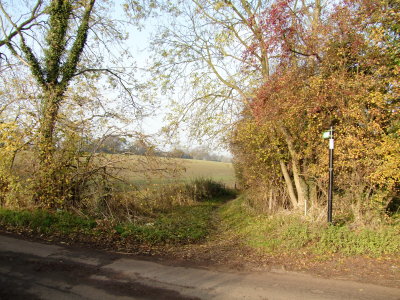 The  bridlepath  emerges  onto  Copt Hall  Road