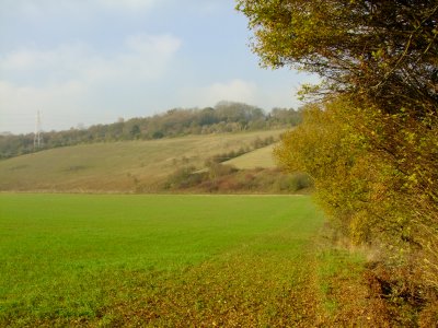 Henley Down from Luddesdown.
