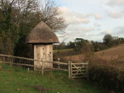 A  picturesque  garden  shed, in  Court Lodge  garden.