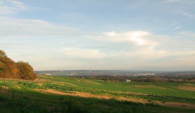 Looking  south  east  towards  Folkstone.