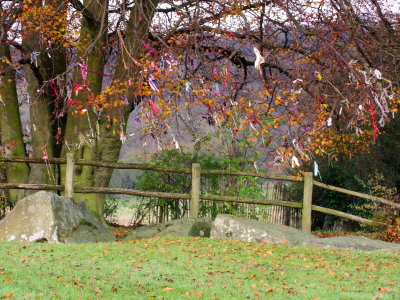 The  Wish Tree  over  the  Coldrum Stones