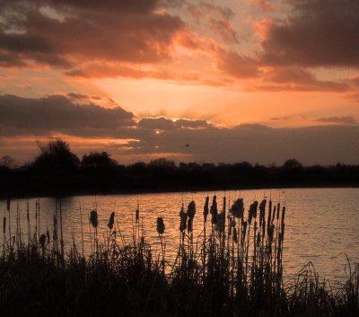 Sunset over Bedford's Lake.