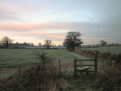 A  cold  and  frosty  morning