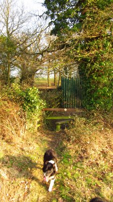 The  stile  as  we  enter  the  lane.