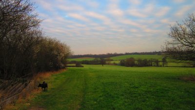 Looking  south  east  along The London Loop LDP.