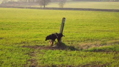 Max  anoints  a  way  marker  post.