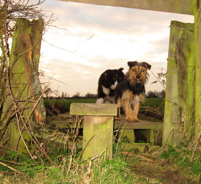 Lady  and  Edward  at  the  stile