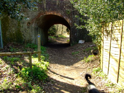 The  Wealdway  LDP  passes  along  this  lane  and  through  tunnel.
