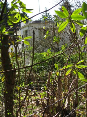 1930's  style  house  through  the  undergrowth.