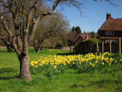 A  lovely  rural  view.