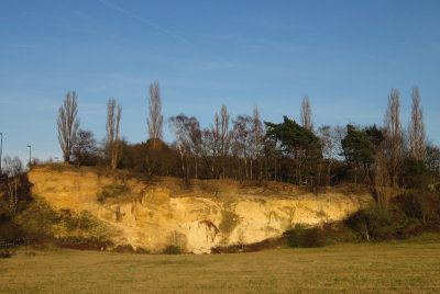 The  old  sand  cliff-face
