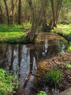   A  linn  by  Pilgrim's  Way