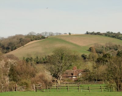 Curteis Farm, with  Cobbs  Hill  behind