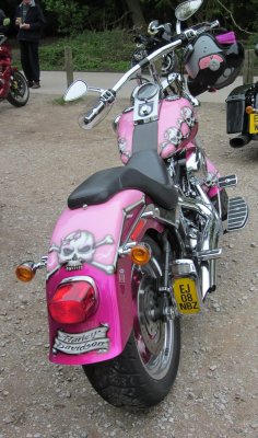 A  Harley-Davidson  Pretty  in  pink , take  two.