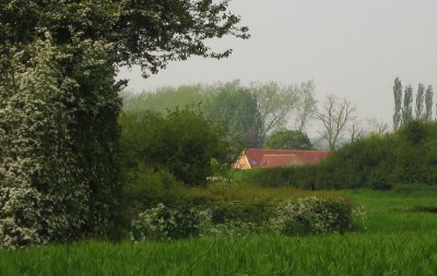 Bridge  Farm