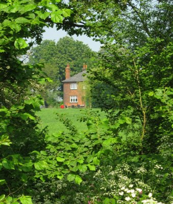 The  farmhouse