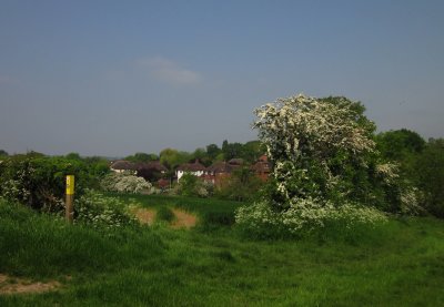 Chigwell  from  the  nearby  footpath.