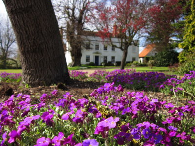 The  garden  viewed  from  the  roadside.