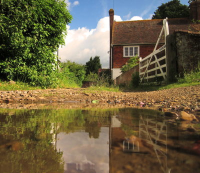 Reflections  in  Barnes  Street.