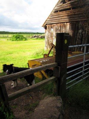 Stile  at  Barnes  Street, towards  the  river.