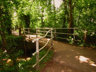 A  footbridge  in  the  woods.
