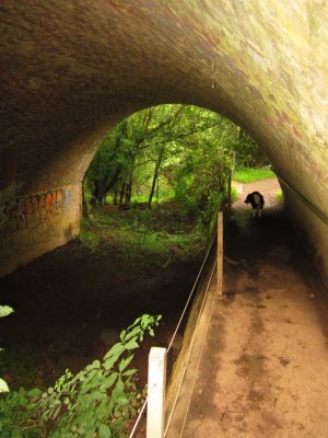 Passing under the railway.