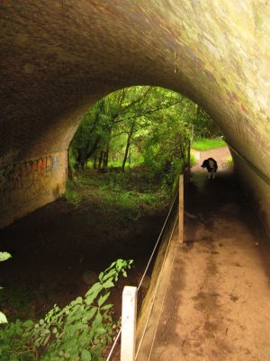 Passing  under  the  railway.