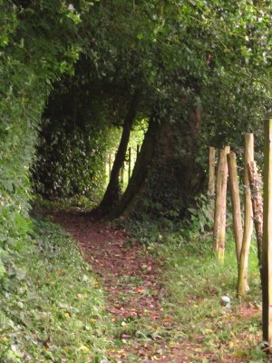 Wealdway path near Stockland Green.