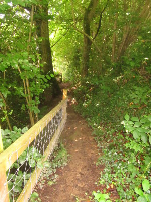 The descent to the river's flood plain.