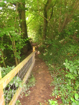 The  descent  to  the  river's  flood  plain.