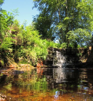 Waterfall  and  reflections