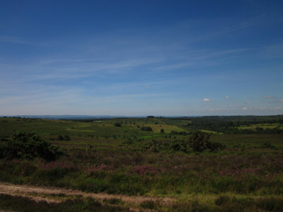 Ashdown  Forest  to  the  South  Downs.