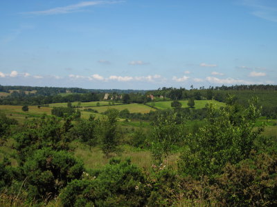 Old  Lodge  and  Old  Lodge  Farm.