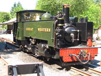 A  narrow  gauge  steam  locomotive.