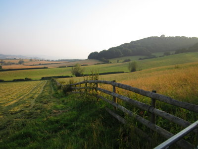 Early  morning  by  Stoke  Wood , near  Craven  Arms.