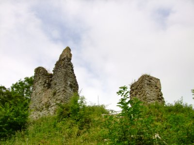 Wigmore  castle  ruins  /  3