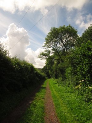 Lane  near  Hendall  Manor.