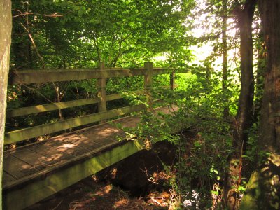 Footbridge into Hendall Wood.