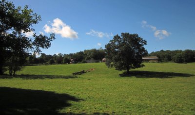 Cattle country.