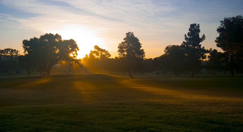 Torrey Pines Morning Mist  Photo 2628