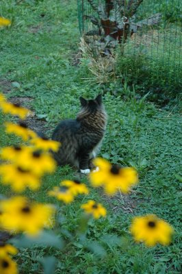 DSC_0778.JPG