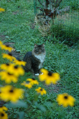 DSC_0779.JPG