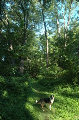 DSC_0788.JPG