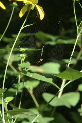 DSC_0789.JPG